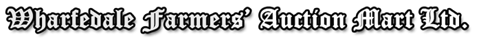 Polo Logo